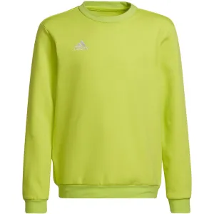 Adidas Entrada 22 Sweat Top Sweatshirt Lime Hc5043 164Cm
