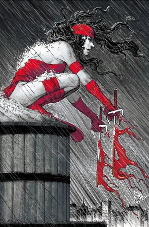 Elektra: Black, White & Blood Treasury Edition TP