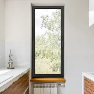 Modern windows courtenay view reviews picture window